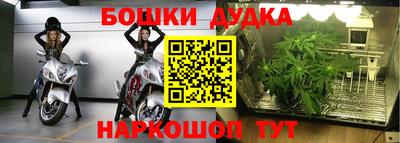 трава Славгород