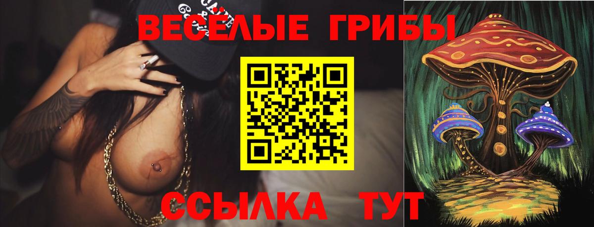 Псилоцибиновые грибы Psilocybe  купить закладку  Светлоград  Вход с VPN 